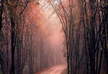 欧博：[乒乓球]陈垣宇晋级WTT新加坡大满贯资格赛决胜轮.