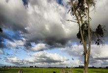 红军本轮战喜鹊 范戴克：同心协力是要诀.