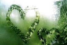 欧博：中国队获2025年钢架雪车世锦赛混合团体铜牌.