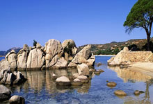 欧博：健康早间操：雷声带来击剑运动灵敏性练习.